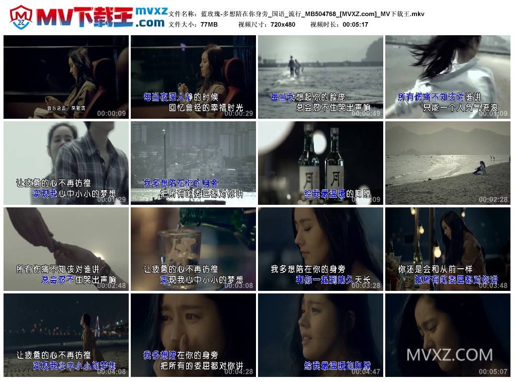 蓝玫瑰-多想陪在你身旁_国语_流行_MB504768